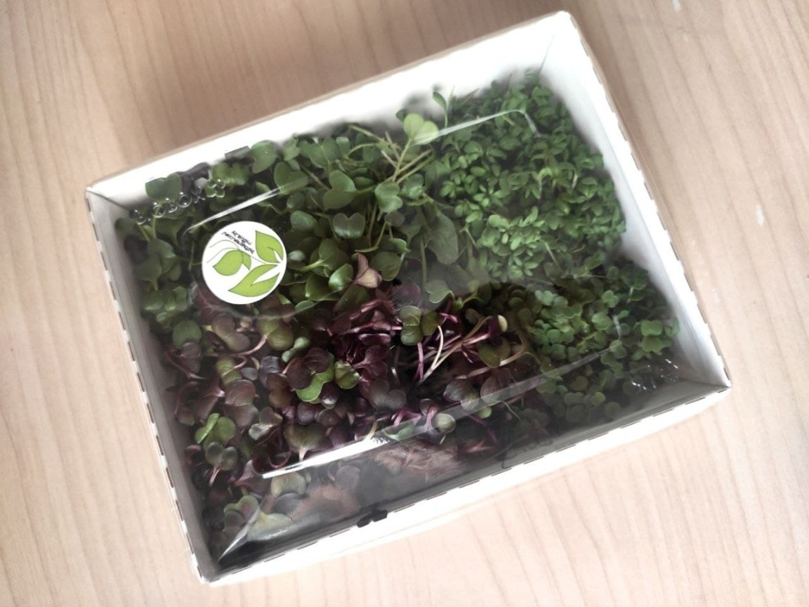 Набор микрозелени «Острый» фото 2